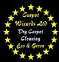 Carpet Wizards Ltd 360487 Image 0